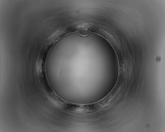 X0000102010504200807251312