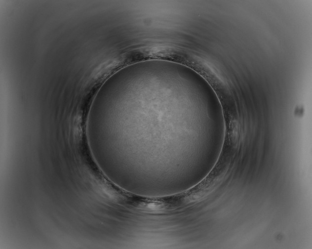 X0000102010506200807251312