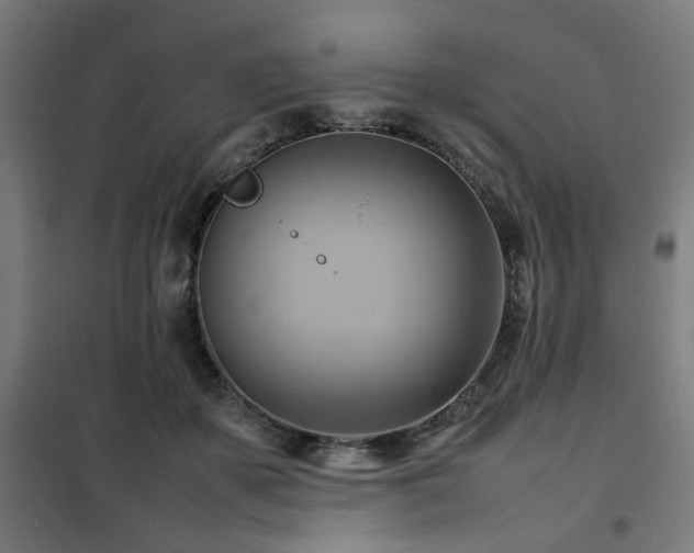 X0000102010507200807251312