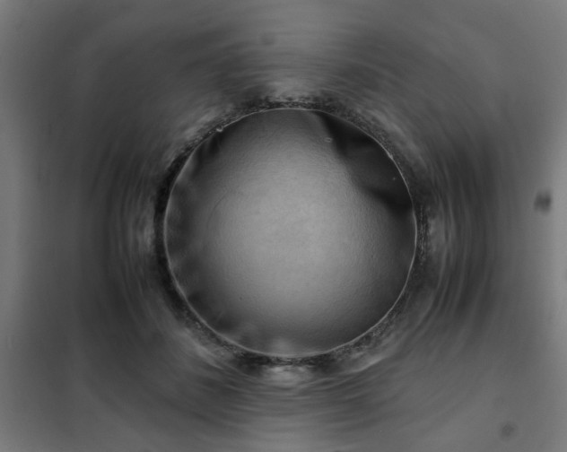 X0000102010508200807251312