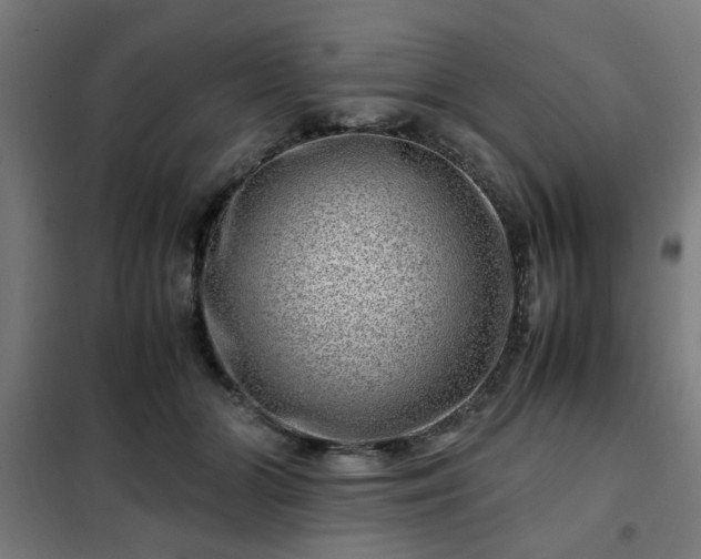 X0000102010510200807251312