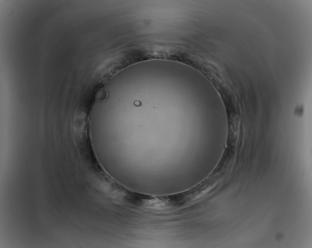 X0000102010511200807251312