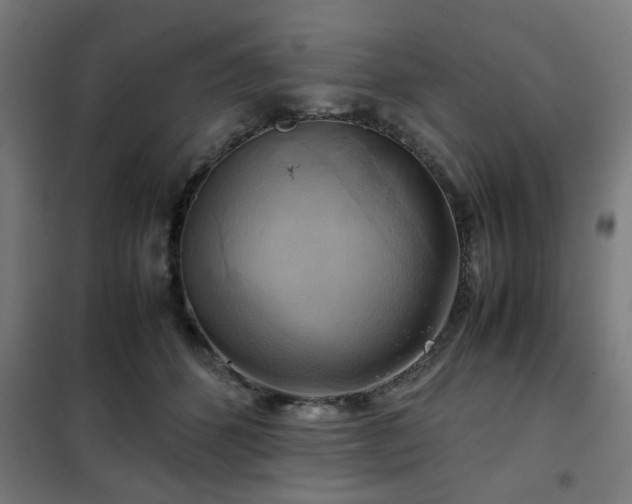 X0000102010512200807251312