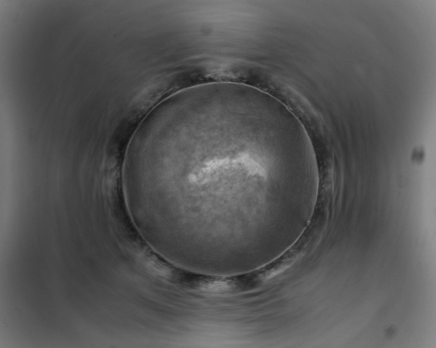 X0000102010513200807251312