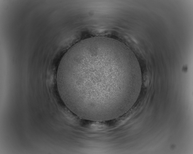 X0000102010515200807251312