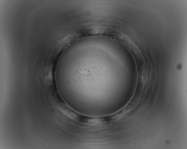 X0000102010516200807251312