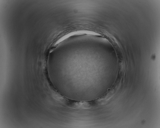 X0000102010517200807251312
