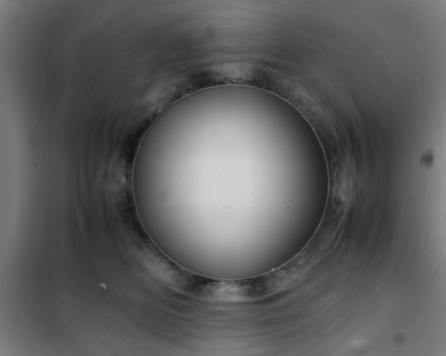 X0000102010518200807251312