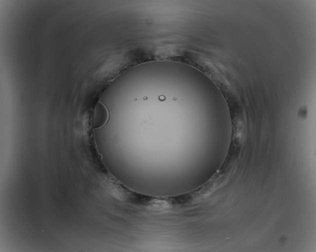 X0000102010519200807251312
