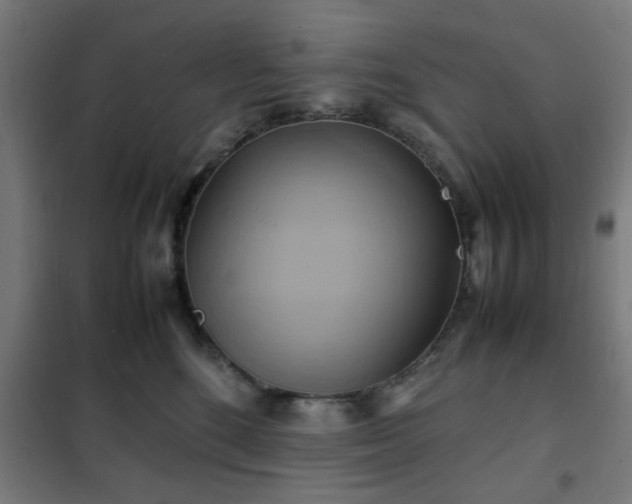 X0000102010520200807251312