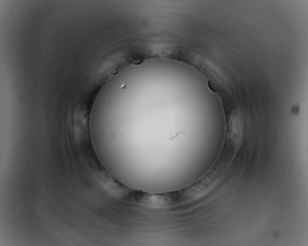 X0000102010522200807251312