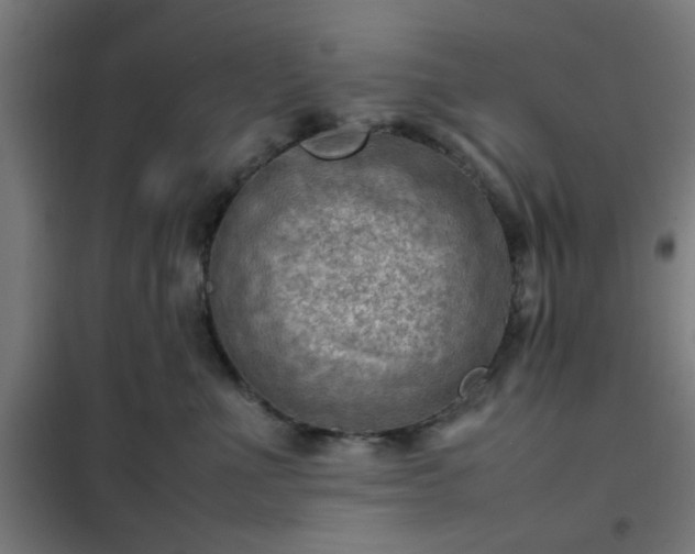 X0000102010523200807251312