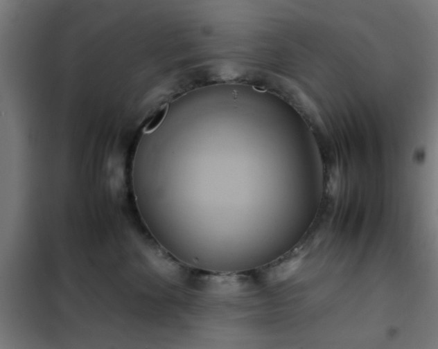 X0000102010524200807251312
