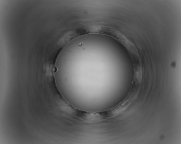 X0000102010525200807251312