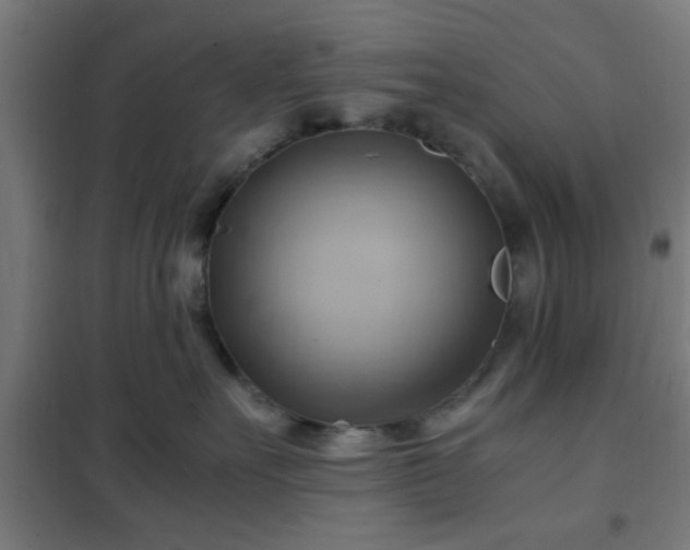 X0000102010527200807251312