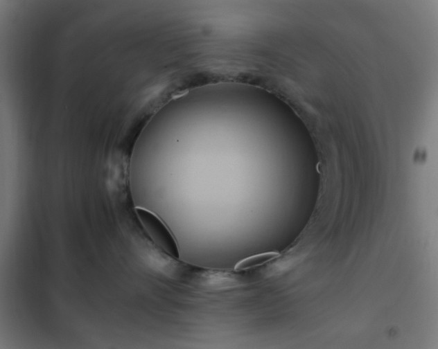 X0000102010528200807251312