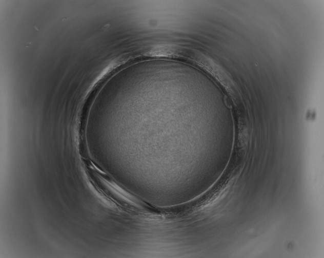 X0000102010530200807251311