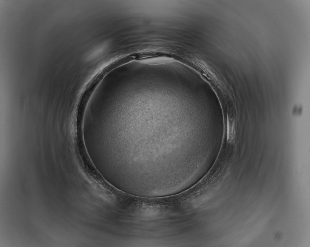 X0000102010531200807251311