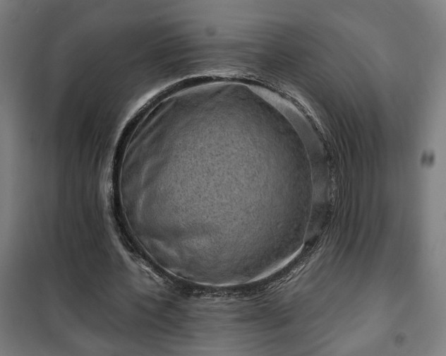 X0000102010532200807251311