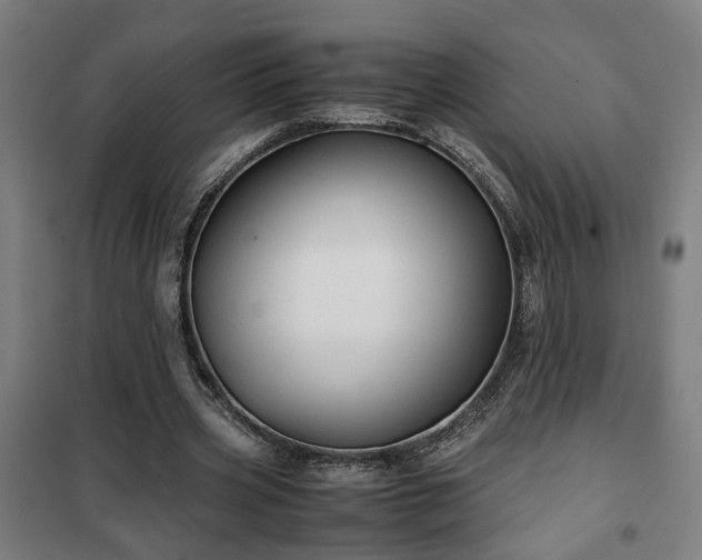 X0000102010533200807251311