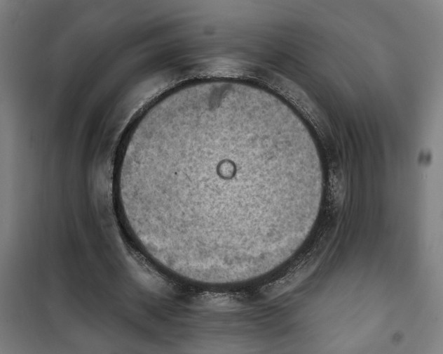 X0000102010534200807251311
