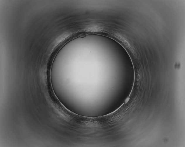 X0000102010535200807251311