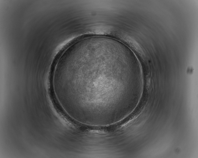 X0000102010536200807251311