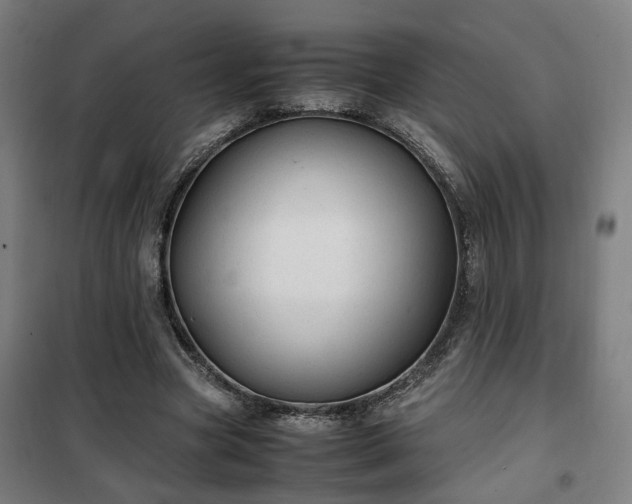 X0000102010537200807251311