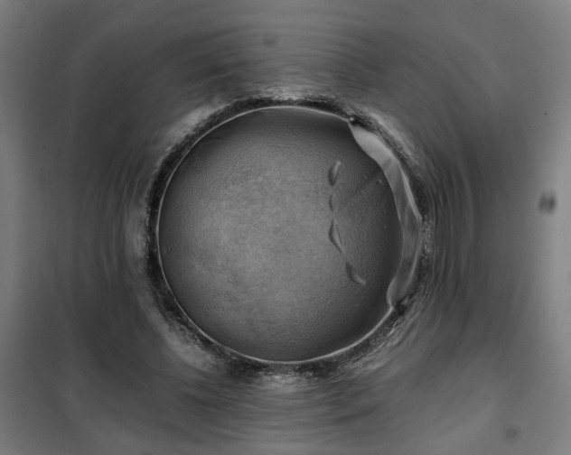 X0000102010540200807251311