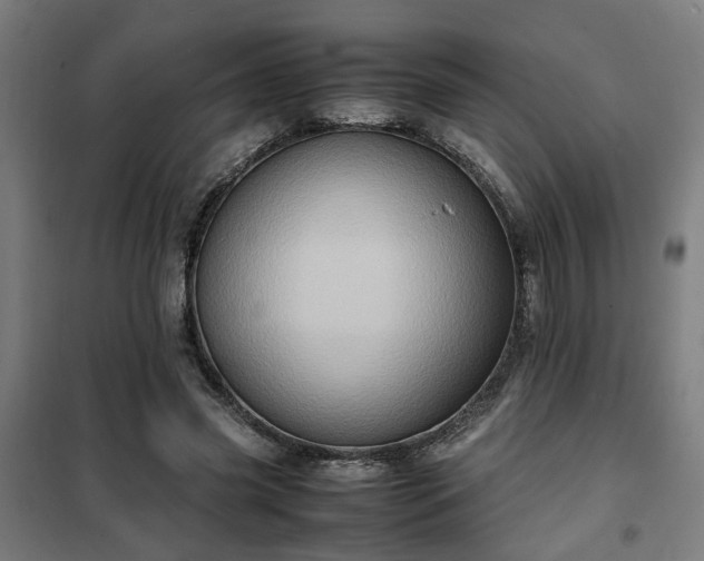 X0000102010541200807251311
