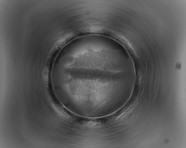X0000102010542200807251311
