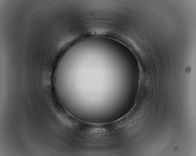X0000102010543200807251311