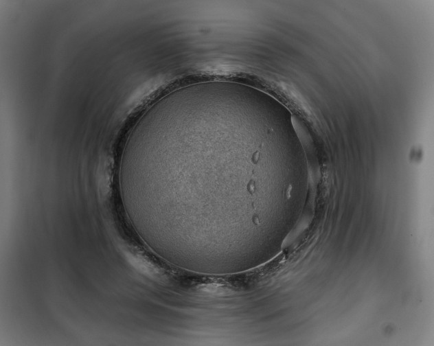 X0000102010544200807251311