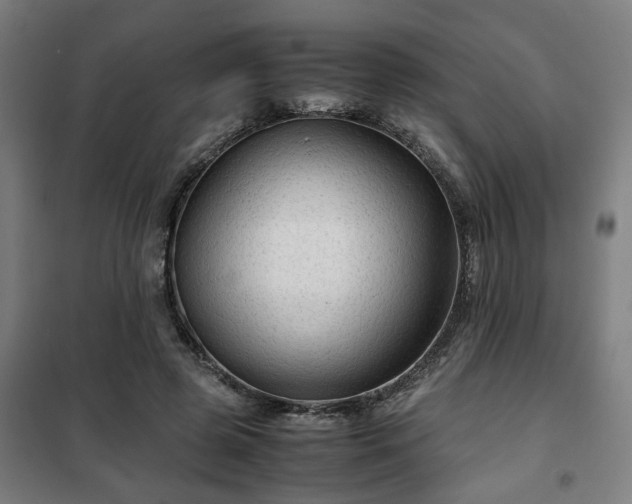 X0000102010545200807251311