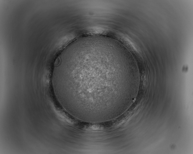 X0000102010546200807251311
