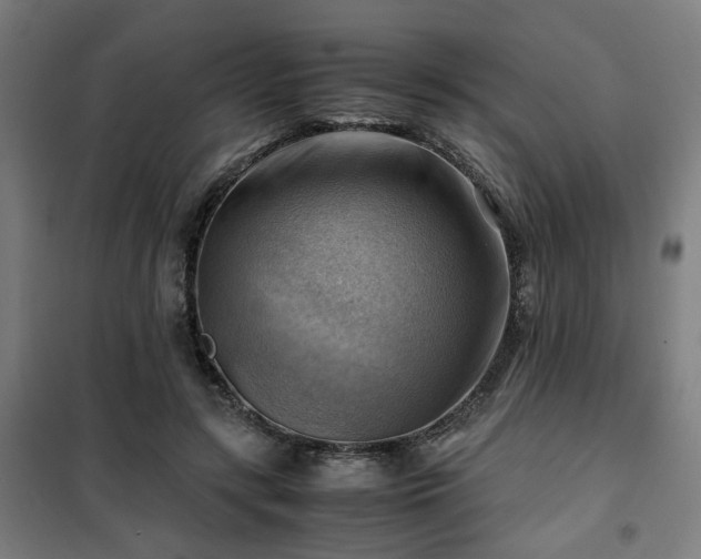 X0000102010547200807251311