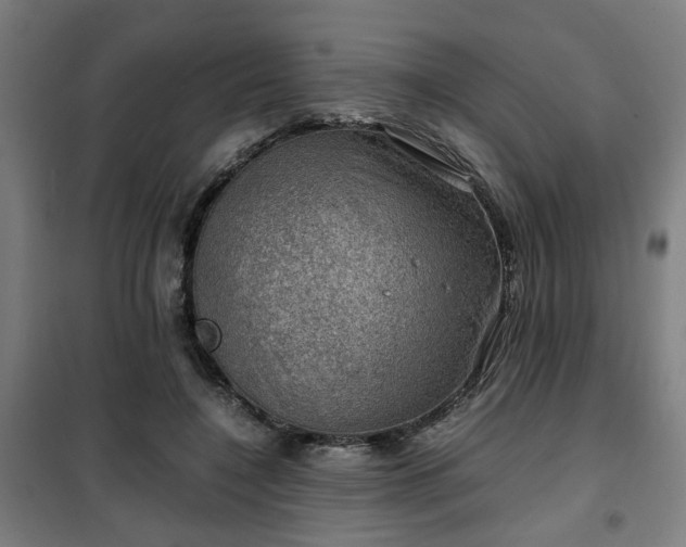 X0000102010548200807251311