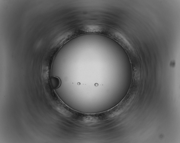 X0000102010549200807251311