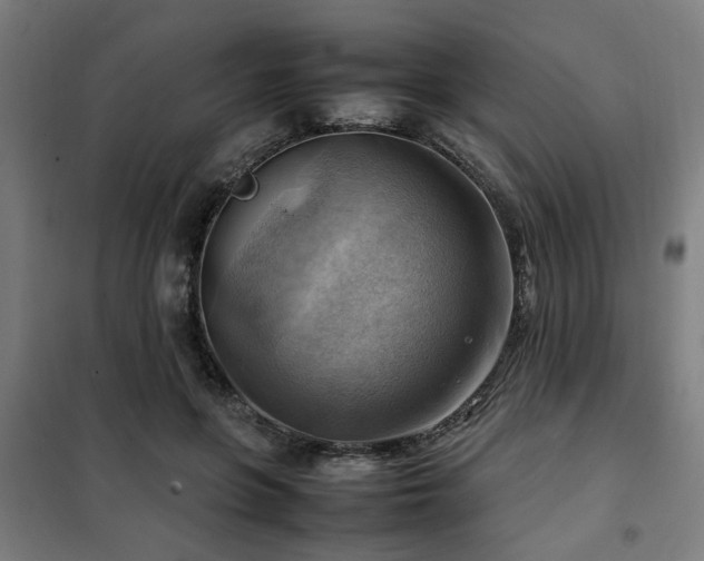 X0000102010551200807251311