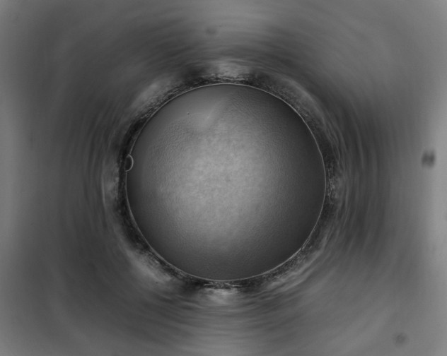 X0000102010552200807251311