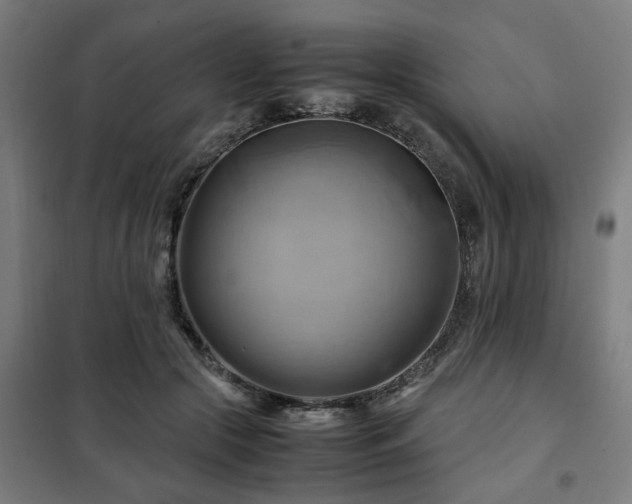 X0000102010553200807251311