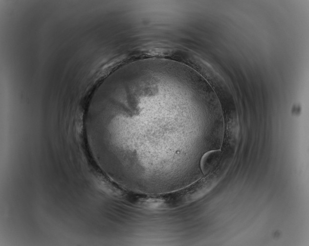 X0000102010554200807251311