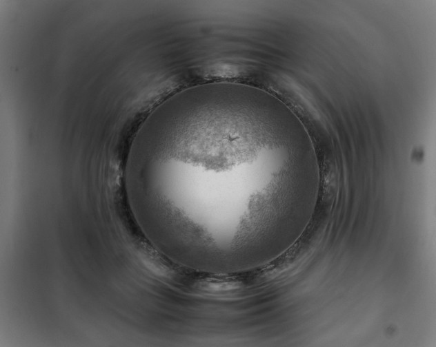 X0000102010555200807251311