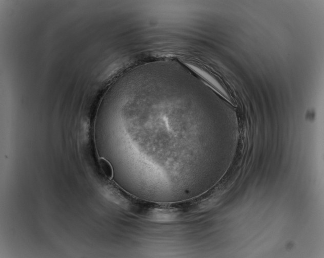 X0000102010556200807251311