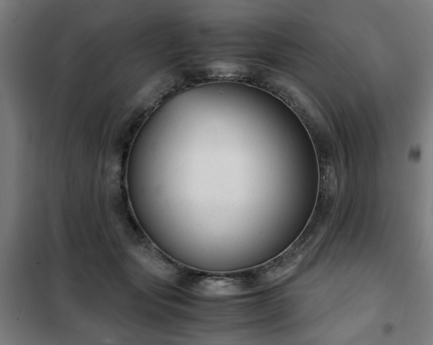 X0000102010557200807251311