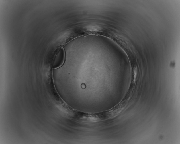 X0000102010559200807251311