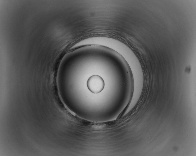 X0000102010560200807251311
