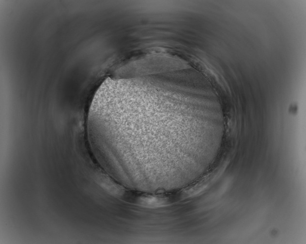 X0000102010561200807251311