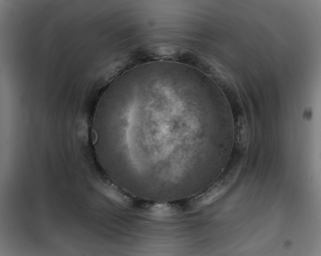 X0000102010562200807251311