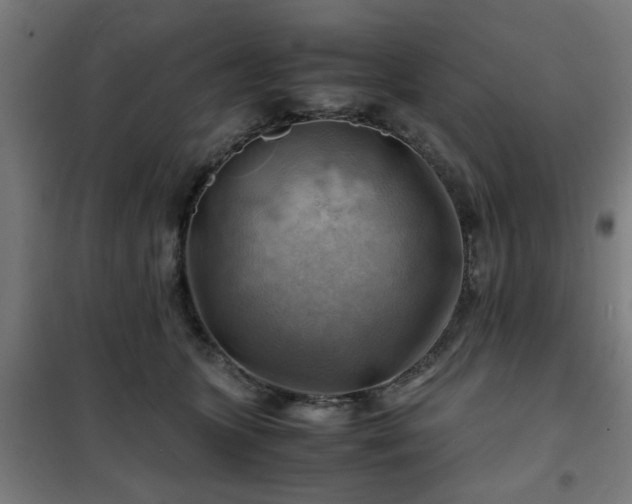X0000102010563200807251311
